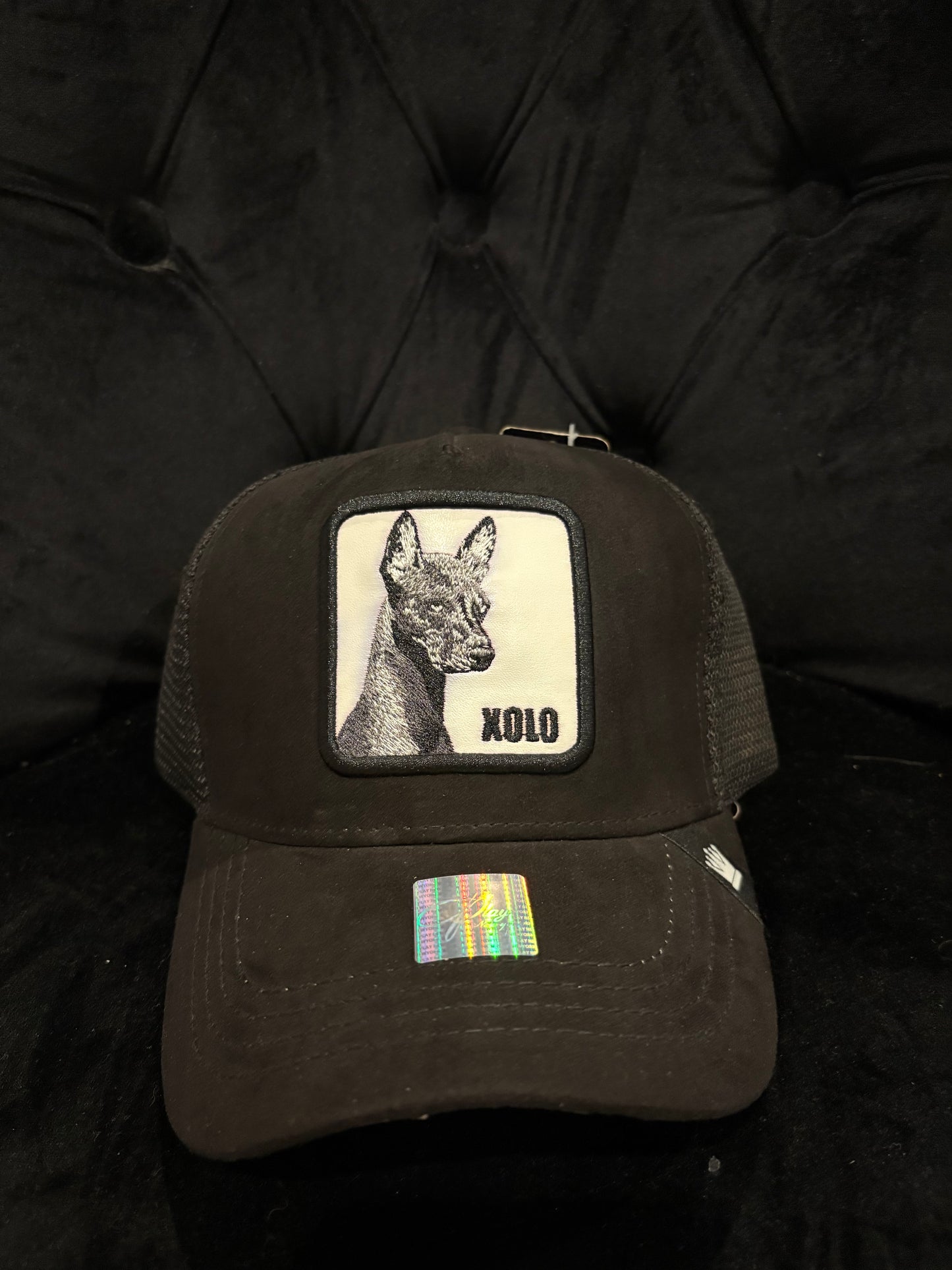 Black Xolo Trucker Hat