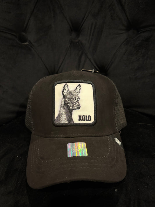 Black Xolo Trucker Hat
