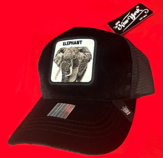 Elephant Animal Patch Trucker Hat- Black Velvet