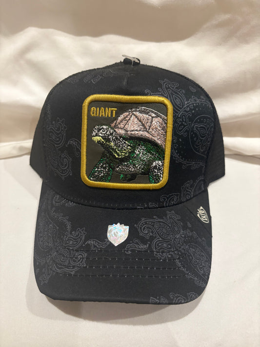 Giant Tortoise - Animal Trucker