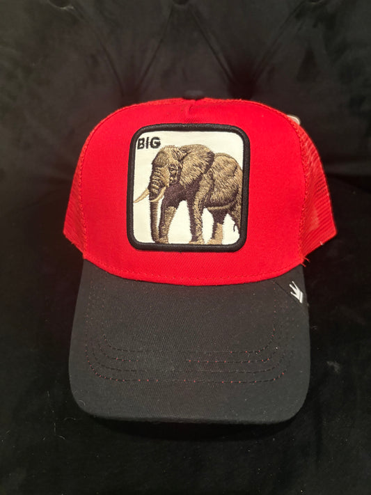Big Elephant - Animal Patch - Red Trucker Hat