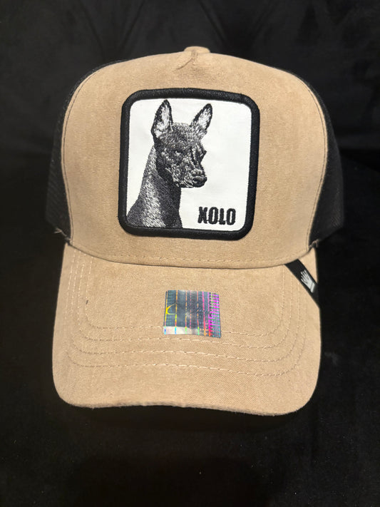 Xolo Dog Animal Patch Trucker Hat